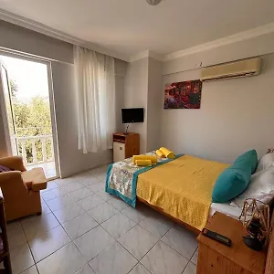 https://limon-hotel-fethiye.aegeanhotels.net